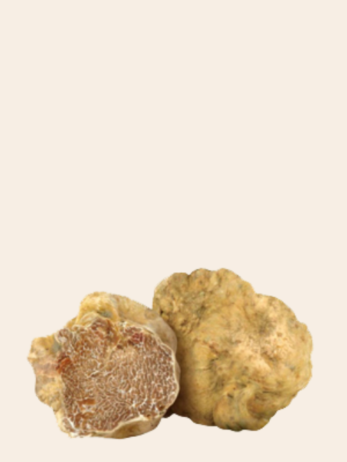 Picture of FRESH WHITE TRUFFLE 100gr